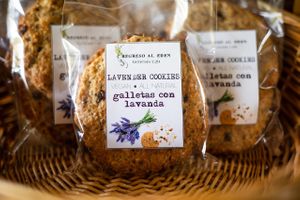  at Monteverde Wholefoods in Monteverde