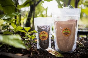  at Monteverde Wholefoods in Monteverde