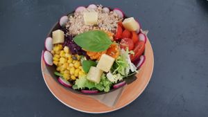 Power Bawl with extre grilled cheese at Veganices in Tavira