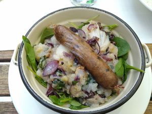 Monday bowl at Güjžina - Green One Bistro in Ljubljana