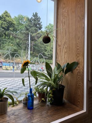   at The Conductor in Prague