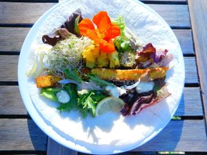 Tuesday special GF wrap sand at Vital Kitchen in Salt Spring Island