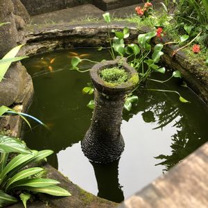 Made's Warung Penestanan Ubud  at Made's Warung in Ubud