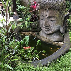 Made's Warung Penestanan Ubud  at Made's Warung in Ubud