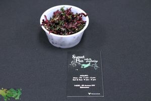 Beet salad 😋 i love this and i don’t even like beets!! at Sweet Pea Cafe & Playhouse in Edmonton