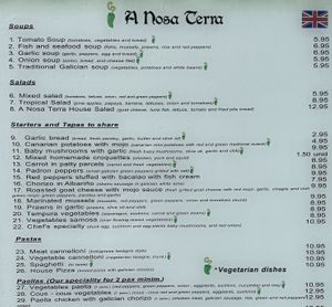 English menu, vegetarian marked, owner is helpful pointing out the vegan ones   at A Nosa Terra in Tenerife