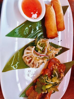 Mushroom & Vegetable Spring Roll; Steamed Shiitake Kimchi Dumplings  at Yulli's Brews in Alexandria