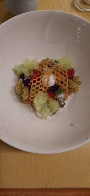  at Cafe Animo in Ulm