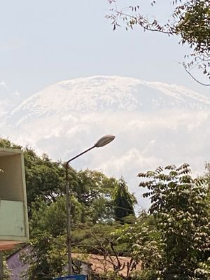 My Kilimanjaro aka Mama Africa   at Milan's Restaurant in Moshi