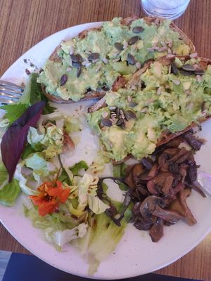 Sourdough toast with avocado and side of mushrooms at The Old Gun Shop Café & Pantry in Lancaster