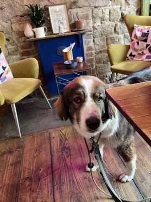   at The Old Gun Shop Café & Pantry in Lancaster