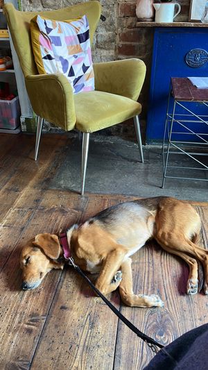   at The Old Gun Shop Café & Pantry in Lancaster