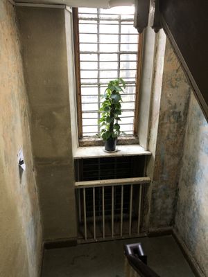 Very rustic here, I love it 💙 at The Old Gun Shop Café & Pantry in Lancaster