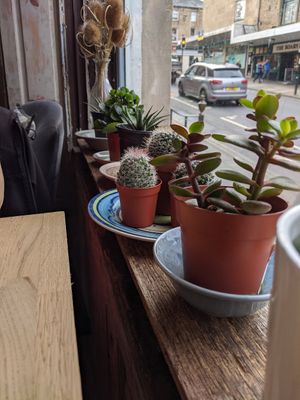 A few pics from our various visits... at The Old Gun Shop Café & Pantry in Lancaster