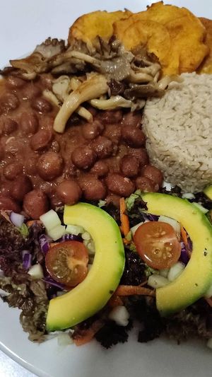 Menús 100 % libres de muerte y explotación animal  at Vegano Oculto in Bogota