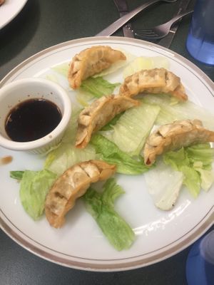 Fried dumplings  at Pinellia in South Bend