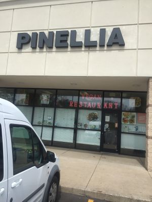 That spot in your mind when your hungry and positive vegan smile  at Pinellia in South Bend
