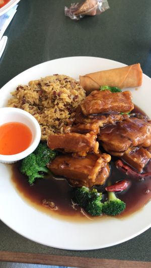 General tso protein  at Pinellia in South Bend