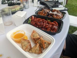 Stuffed.wantons, Korean ribs, General Tso's Soy Protein at Pinellia in South Bend