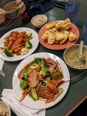 Seitan in garlic sauce (bottom), sweet and sour soy protein, tempura veggies, and miso soup at Pinellia in South Bend