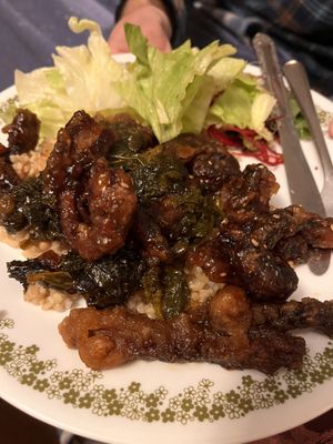 Jade Mushroom   at Pinellia in South Bend