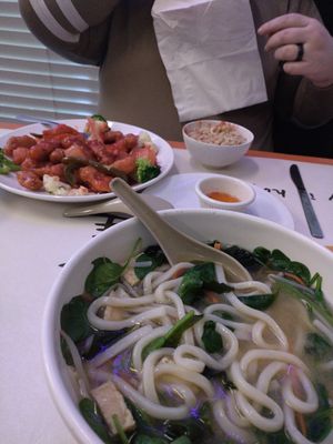  at Pinellia in South Bend