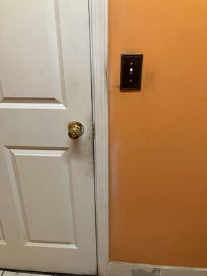  at Pinellia in South Bend