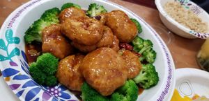 General Tso's Soy Protein at Pinellia in South Bend