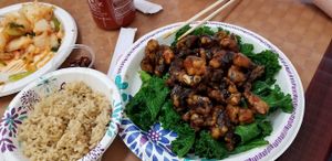Jade Mushrooms at Pinellia in South Bend