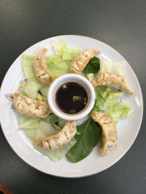 Pan fried vegetable dumplings  at Pinellia in South Bend