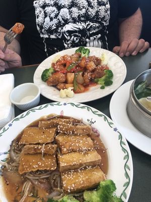 Sweet & Sour Soy Protein (tip) & Tofu Teryaki (bottom) at Pinellia in South Bend