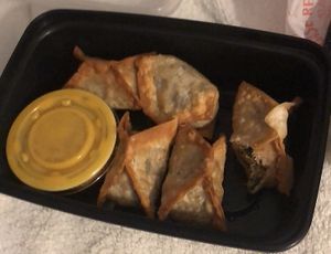 Stuffed Wontons at Pinellia in South Bend