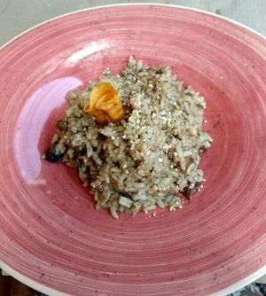 Mushroom risotto! at Sa Garrofa in Begur