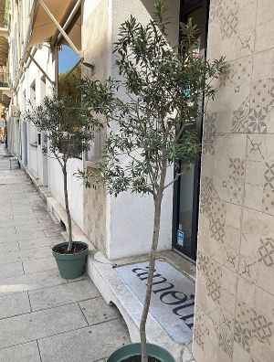  at Amour Patisserie Vegetale in Nice