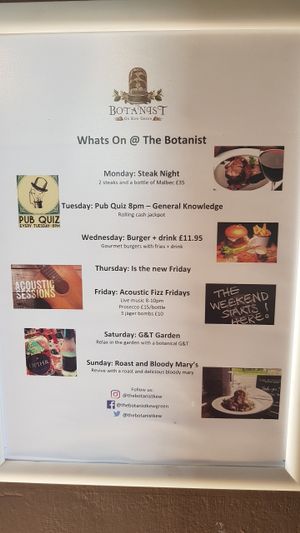 What's on at Botanist on the Green in South West London