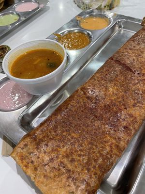 Rava masala dosa  at Dosa House in Bellevue