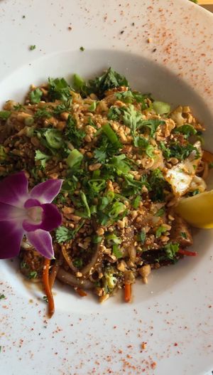 Tofu pad Thai   at Roots Rincon in Rincon