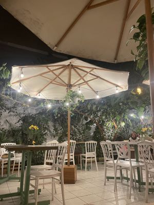Garden  at Napoli Artisan Gelato  in Lima