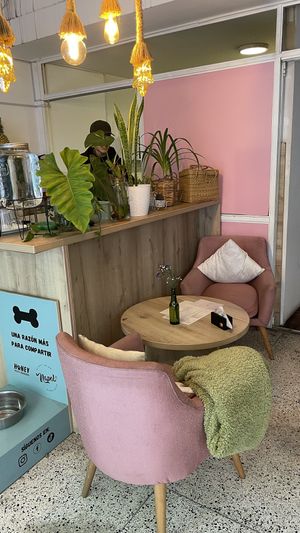 Terraza  at Napoli Artisan Gelato  in Lima