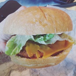 Vegan buffalo chicken sandwich  at B & B Wings & Things in Middletown