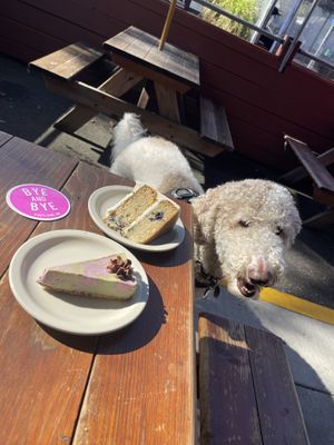   at The Bye and Bye in Portland