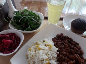 Bargain vegan lunch platter at Broccoli in Tashkent