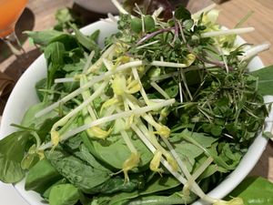 Salad. Tried the house dressing, but ended up adding some balsamic. Be careful, salad alone is maybe €5. at Venuss - Herrengasse in Vienna