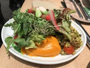 Salad with yummy sweet potato purée at Venuss - Herrengasse in Vienna