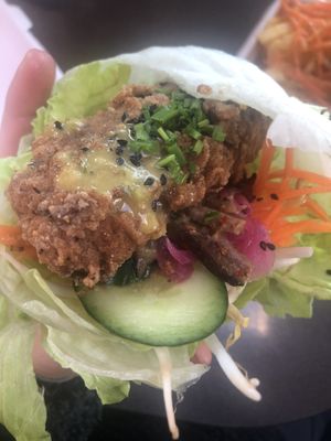 Get a lettuce wrap. It’s DELICIOUS. at Bao Now in Te Anau