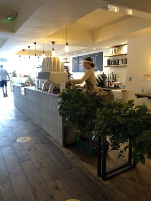 They have lots of plants inside! at Jaunty Goat - Bridge St in Chester