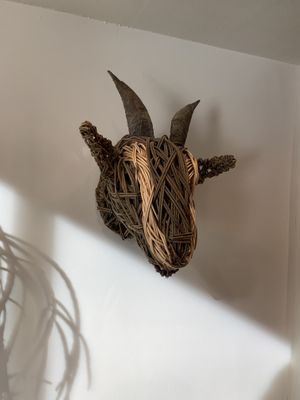 Goat  at Jaunty Goat - Bridge St in Chester