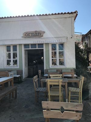 Detox   at Orman Coffee & Cocktail in Balikesir