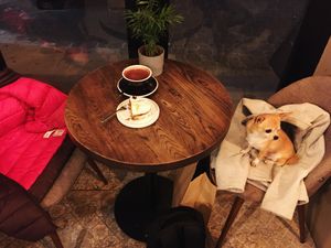 Lovely vegan carrot cake and strong hot cocoa at Relax na Wilczej in Warsaw