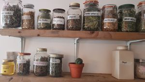 Spices at The Platform Cafe in South West London
